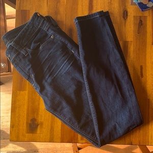 Joe's Icon Skinny Ankle Jeans- Maren Color